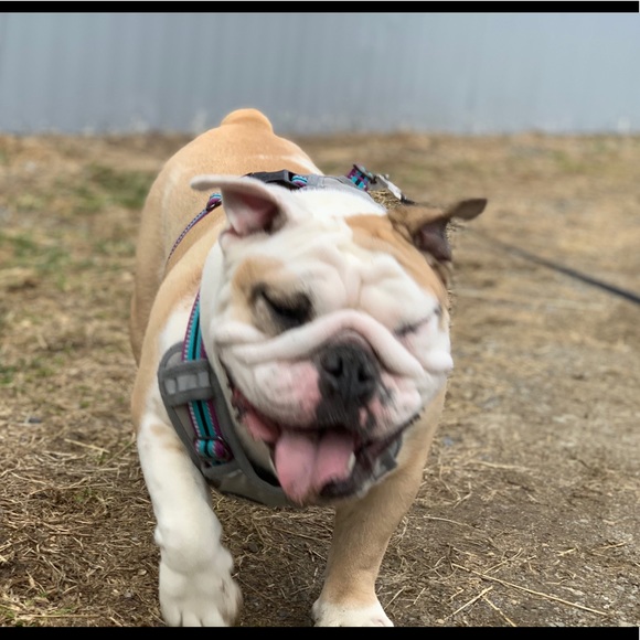 @Bekafab  FOLLOW GAME😻 - Picture 4 of 11